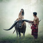 asia, buffalo, cambodia, cambodians, girl, riding, happy, indonesian, malaysia, myanmar, burma, nature, outdoor, people, countryside, thailand, vietnamese, woman, man, asia, buffalo, buffalo, buffalo, buffalo, buffalo, cambodia, cambodia, happy, malaysia, malaysia, malaysia, malaysia, people, people, people, people, thailand, thailand, thailand, thailand, man, man, man