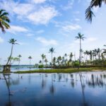 Tranquil tropical scene with palm trees by the calm water, under a vibrant blue sky.